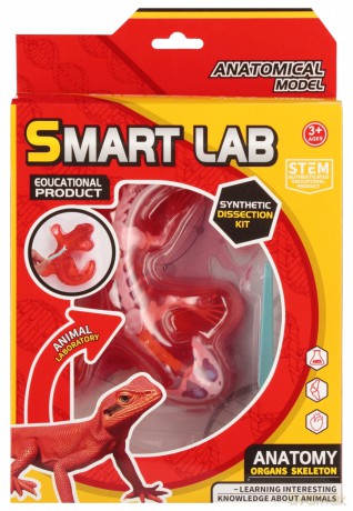 Zestaw Naukowca Anatomia Jaszczurka Mega Creative 567931