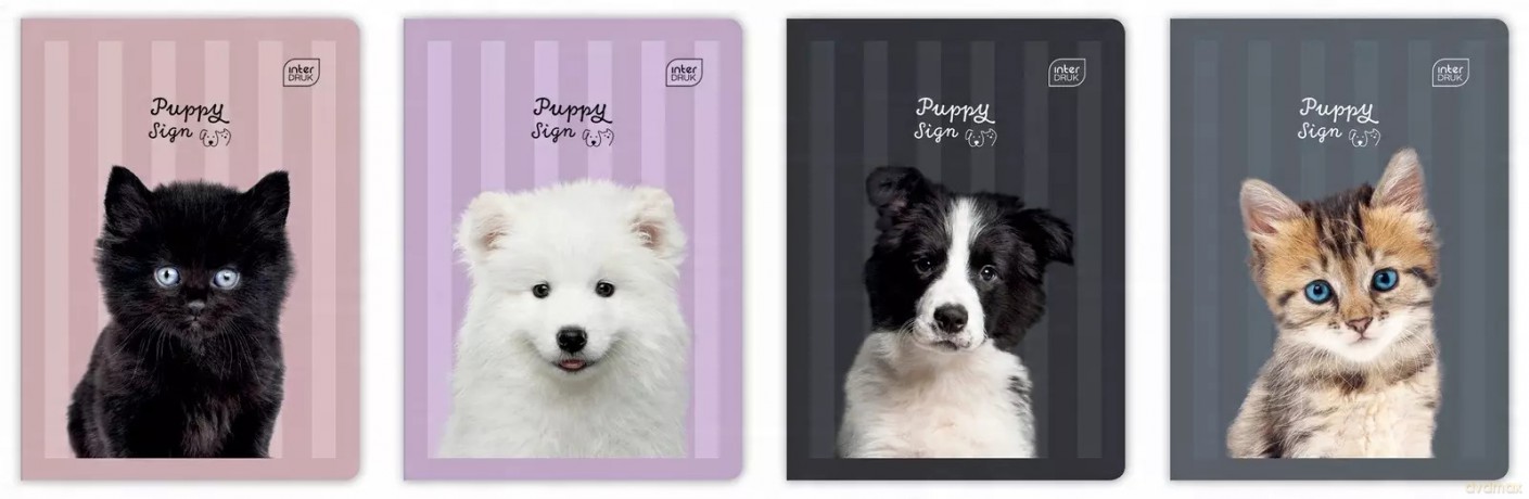 Zeszyt A5 32 Kartki Kolorowa 3-linia 70g Uv Puppy Sign Interdruk