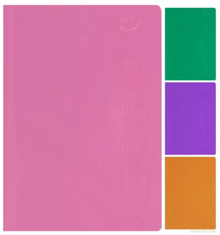 Zeszyt A5/60k Kratka Oprawa Pp Holograf A 10 Astra 102023020