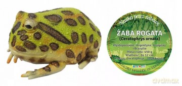 Żaba Rogata 22 cm Długości