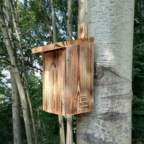 Budka Dla Ptaków Ih Paridae