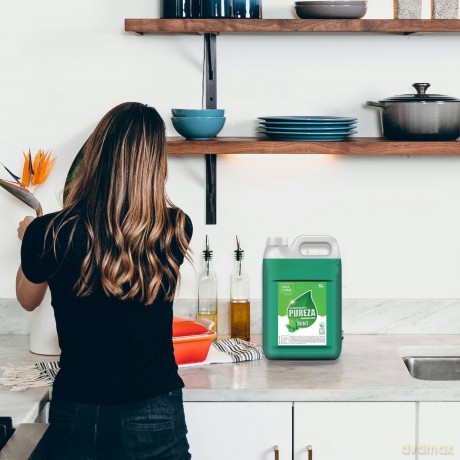 Płyn Do Mycia Naczyń Ih Pureza Mint 5l