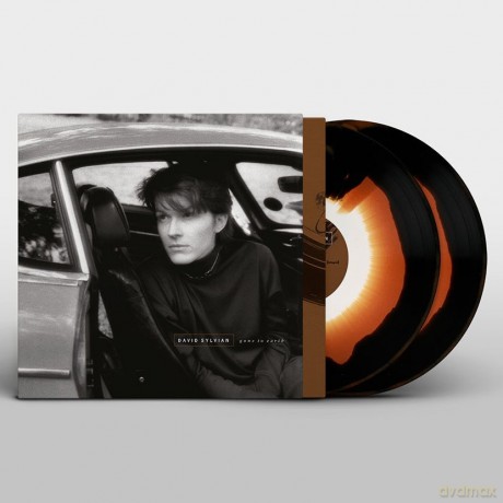 David Sylvian: Gone To Earth [2xWinyl]