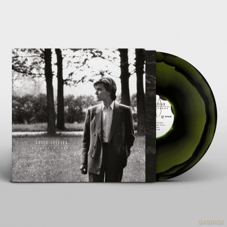 David Sylvian: Brilliant Trees [Winyl]