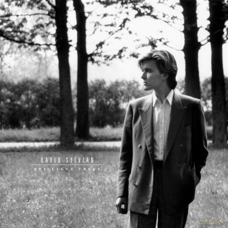 David Sylvian: Brilliant Trees [Winyl]