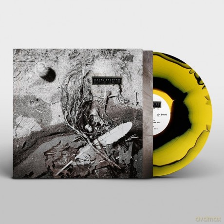 David Sylvian: Secrets Of The Beehive [Winyl]