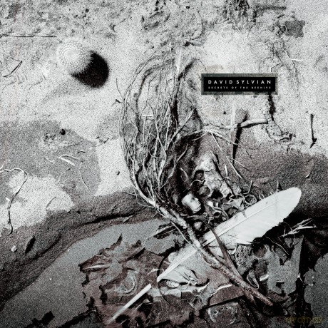 David Sylvian: Secrets Of The Beehive [Winyl]