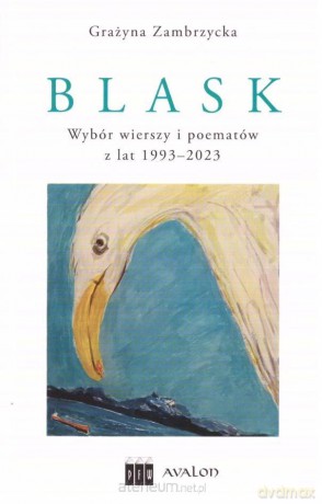 Blask - Grażyna Zambrzycka [KSIĄŻKA]