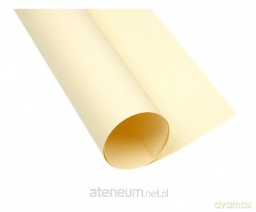 Karton kolorowy B1 225G kremowy (25szt)