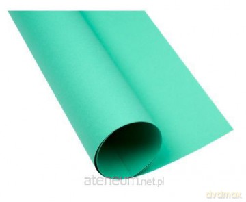 Karton kolorowy B1 225G turkusowy (25szt)