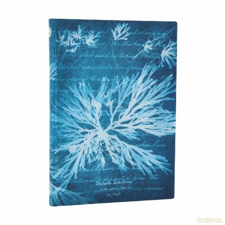 Notatnik Sea Flowers Midi linia