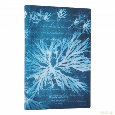 Notatnik Sea Flowers Mini linia