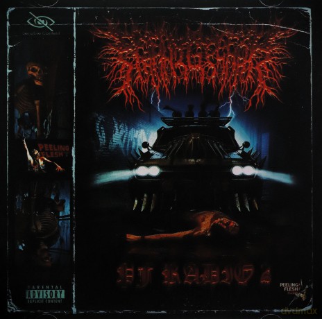 Peelingflesh: Pf Radio 2 [CD]