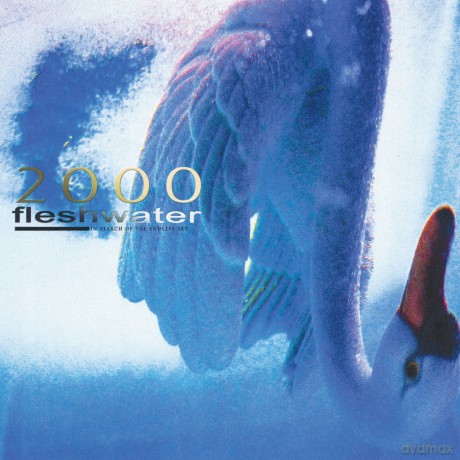 Fleshwater: 2000: In Search Of The Endless Sky (Limited Indie) (Fluorescent Pink) [Winyl]