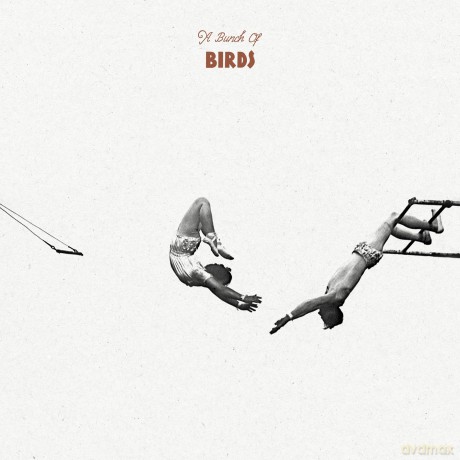 A Bunch Of Birds: A Bunch Of Birds (Limited Numbered) [Winyl]