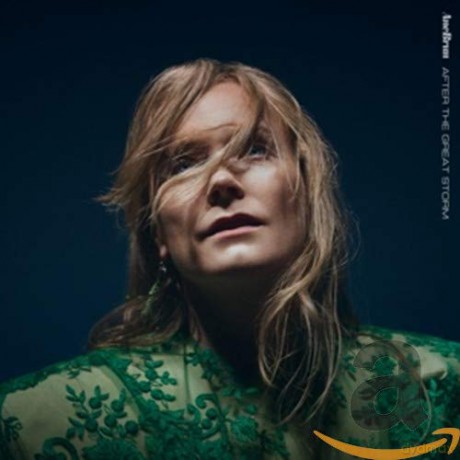 Ane Brun: After The Great Storm [CD]