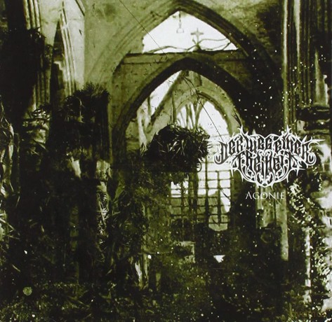 Der Weg Einer Freiheit: Agonie [CD]
