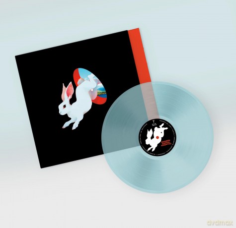 Ganser: Animal Hospital (Future Blue) [Winyl]