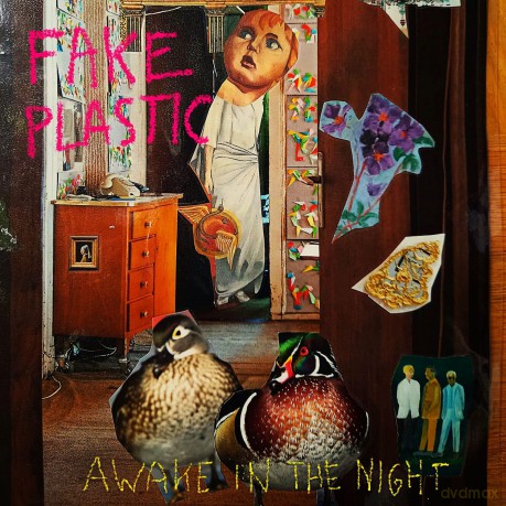Fake Plastic: Awake In The Night [Winyl]