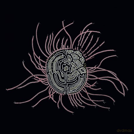 Ka Baird: Bearings: Soundtracks For The Bardos [Winyl]