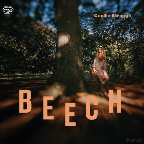 Cecilie Strange: Beech [CD]