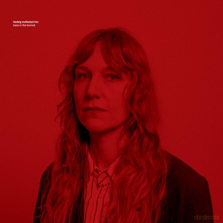 Hedvig Mollestad: Bees In The Bonnet [CD]