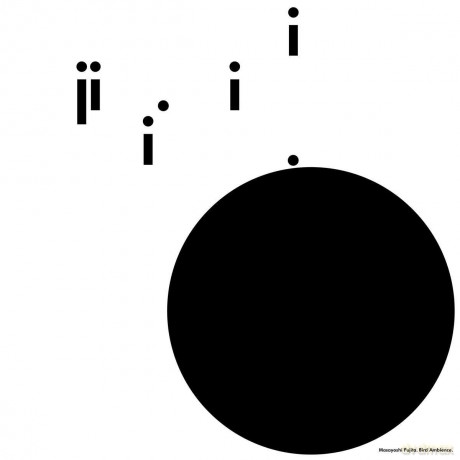 Masayoshi Fujita: Bird Ambience [2xWinyl]