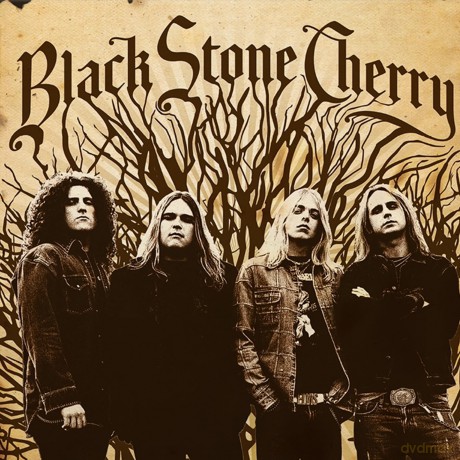 Black Stone Cherry: Black Stone Cherry (Limited Numbered) (Translucent Red) [Winyl]
