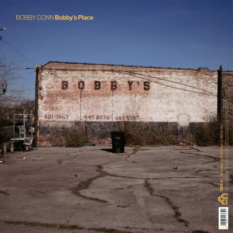 Bobby Conn: Bobby's Place [Winyl]