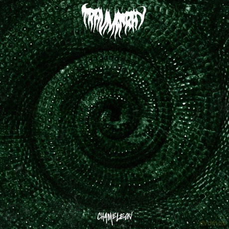 Trauma Ray: Chameleon (Limited Indie) (Mint Green) [Winyl]
