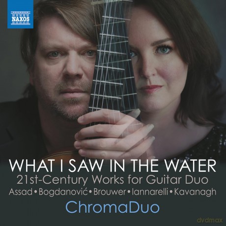 ChromaDuo - What I Saw In The Water [CD]