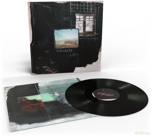 Novo Amor: Collapse List (Black Bio) [Winyl]