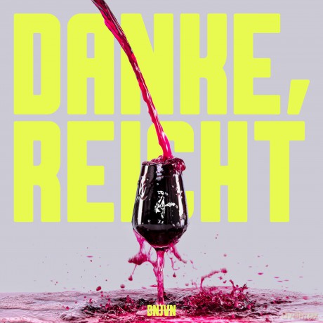 Die Netten Jungs von Nebenan: Danke, reicht [Winyl]