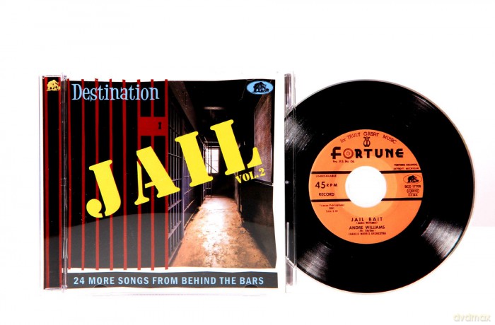 Destination Jail Vol. 2 [CD]