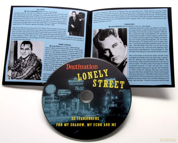 Destination Lonely Street: 32 Tearjerkers For My Shadow, My Echo And Me [CD]