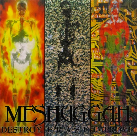Meshuggah: Destroy Erase Improve [CD]
