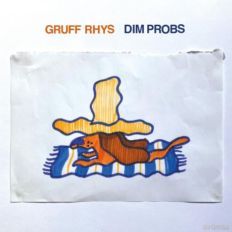 Gruff Rhys: Dim Probs [Winyl]