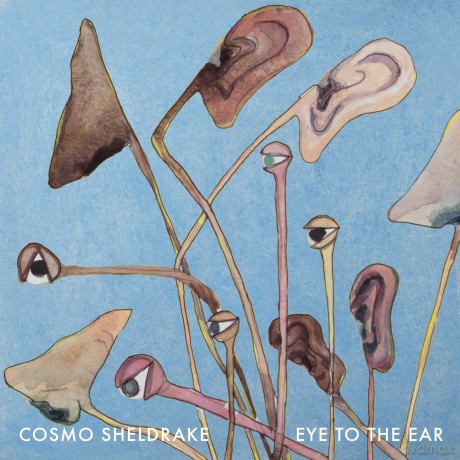 Cosmo Sheldrake: Eye To The Ear [2xWinyl]