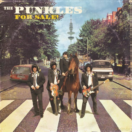 The Punkles: For Sale [Winyl]