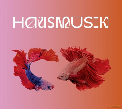 Carolin No: Hausmusik [CD]