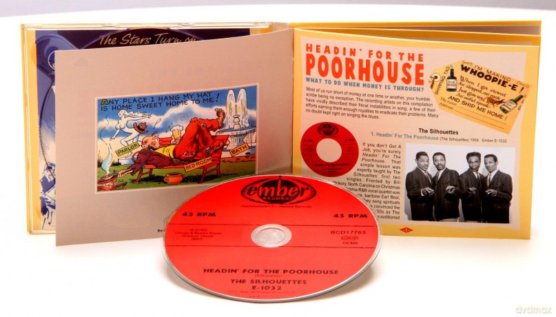 Headin' For The Poorhouse: What To Do When Money Is Through [CD]
