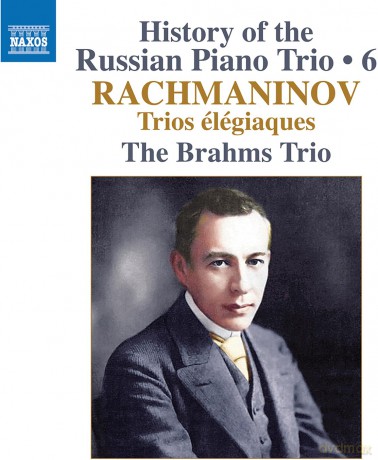 History of the Russian Piano Trio Vol. 6 [CD]