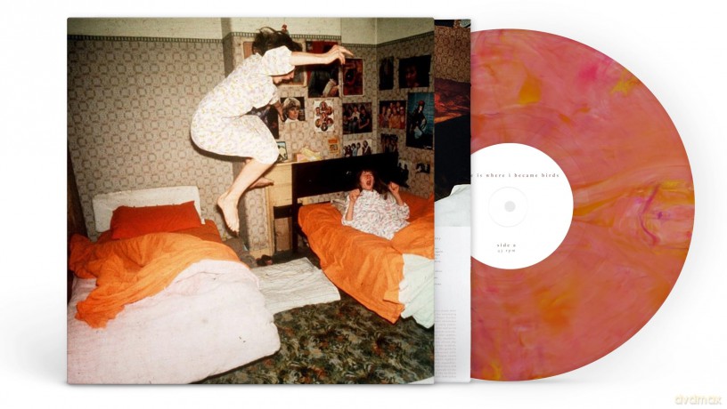 Home Is Where: I Became Birds (Limited) (Guava Blend) [Winyl]