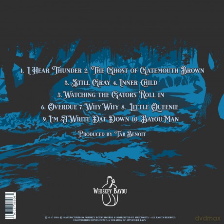 Tab Benoit: I Hear Thunder [CD]