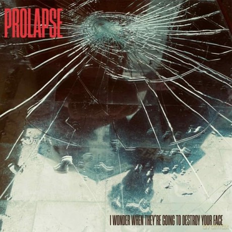 Prolapse: I Wonder When They're Going To Destroy Your Face [CD]