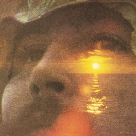 David Crosby: If I Could Only Remember My Name [Winyl]