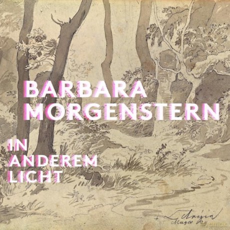 Barbara Morgenstern: In anderem Licht [CD]