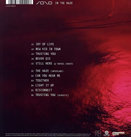 Sono: In The Haze [Winyl]