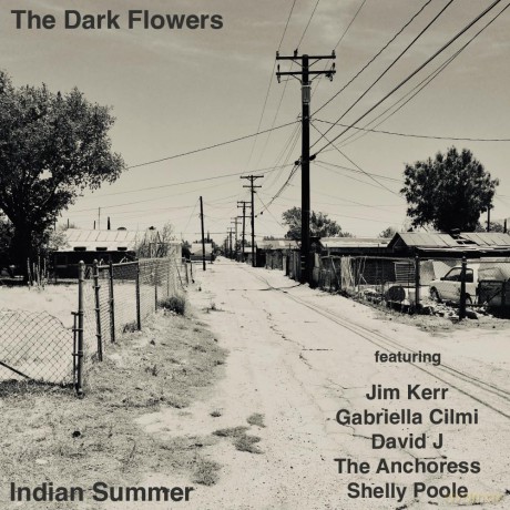 The Dark Flowers: Indian Summer [CD]