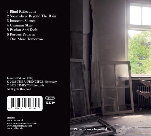The U Principle: Innocent Silence [CD]